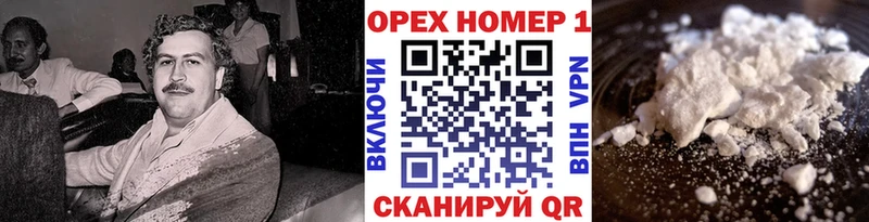 блэк спрут зеркало  Костерёво  Cocaine Fish Scale  наркошоп 