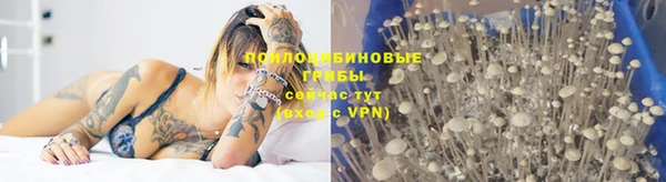 mdpv Алексин