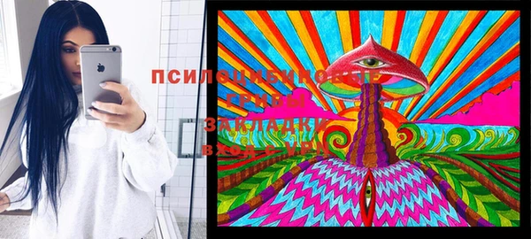 прущая мука Алзамай
