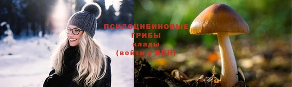 прущая мука Алзамай