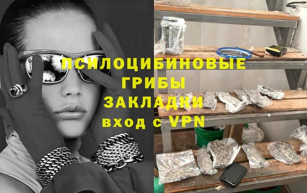 прущая мука Алзамай