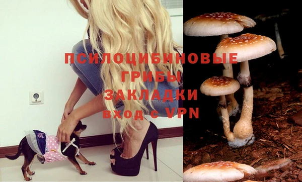 прущая мука Алзамай