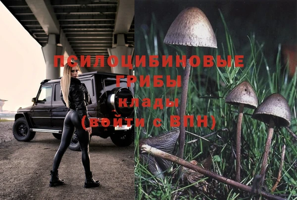 mdpv Алексин