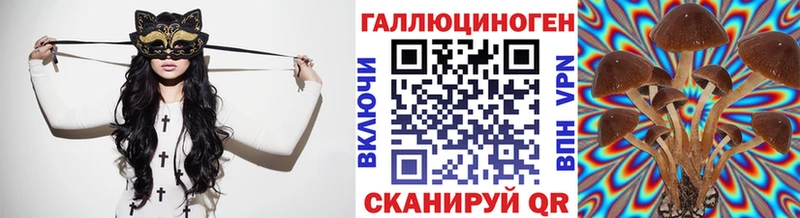 blacksprut как войти  Костерёво  Псилоцибиновые грибы мухоморы 